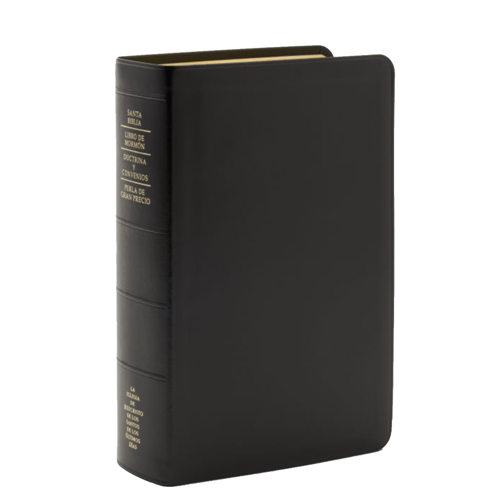 Spanish Quad Combination, Genuine Leather, Regular, Indexed